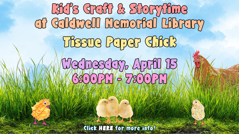 Best part of this chick is that it never sleeps but watches you while you do! Wait . . . uh . . .