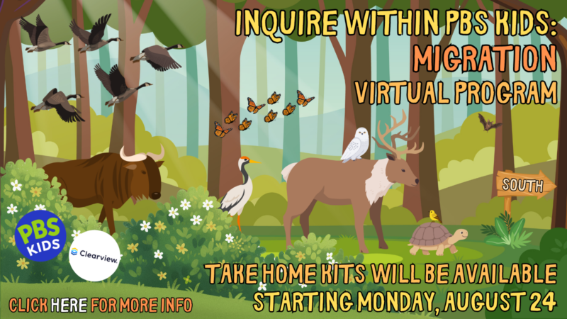 Learn about the animals and insects that migrate when the weather gets inhospitable!