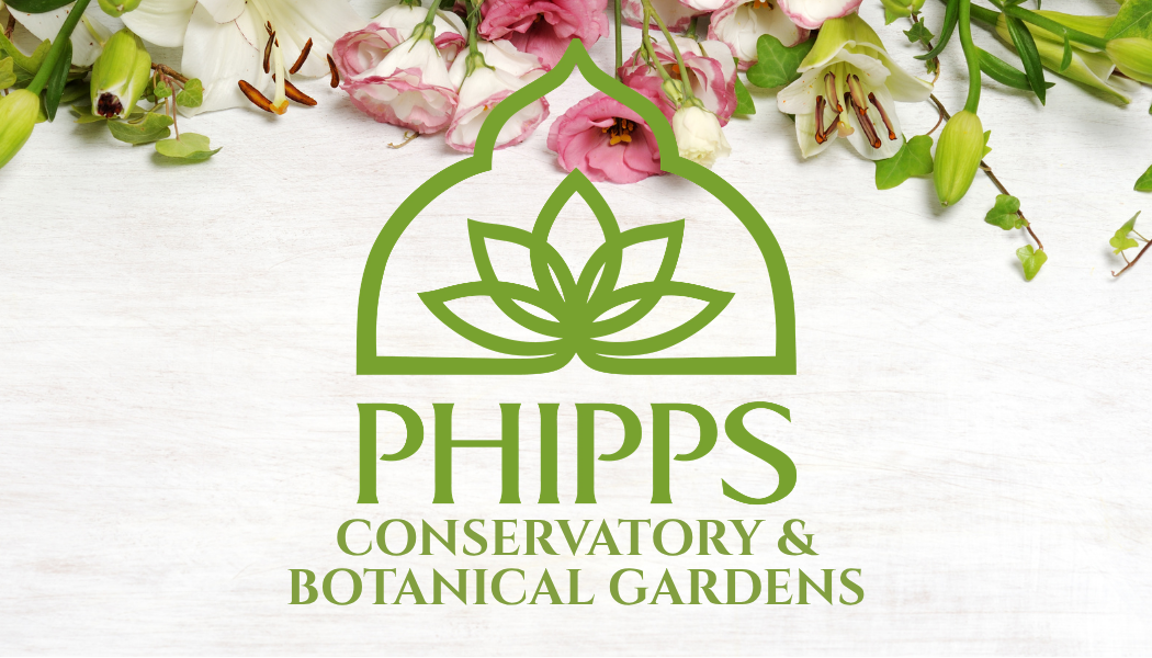 Phipps